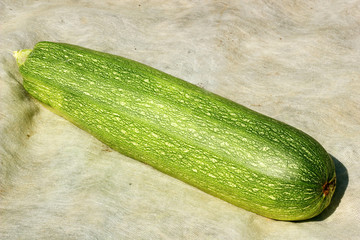Green zucchini on the agrotextile closeup