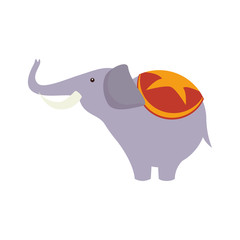 elephant circus show