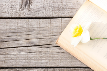 Old hardcover books selective focus. Education concept on wooden background. to learn foreign languages. the remote training. Back to school background with copy space for text ads. exam preparation
