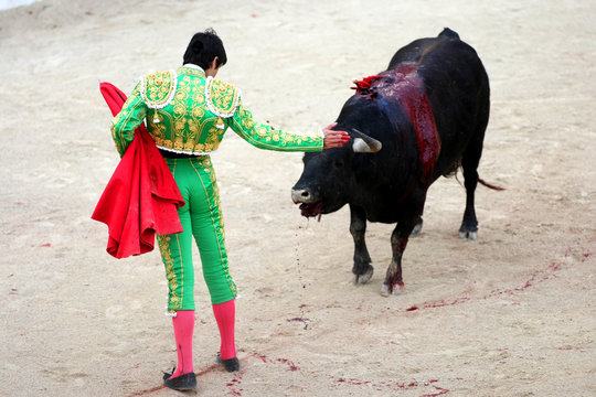 Taureau dans une ar&egrave;ne
