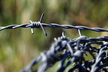 barbed wire