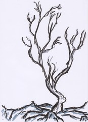 Draw of a dead tree on a white backgroung