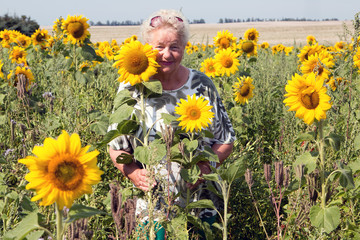Lachende Seniorin steht glücklich zwischen Sonnenblumen