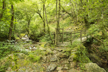 Camino de Santiago from Saint Jean Pied de Port to Roncesvalles via Valcarlos