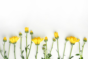 yellow flowers