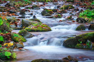 Plakat blue water of mountain stream in autumn time