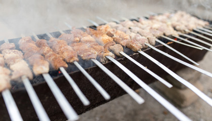 grilled skewers on the grill