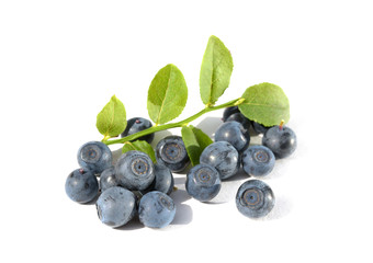  Blue ripe blueberries isolated on white background
