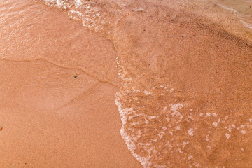sandy shore of the sea as a backdrop
