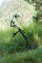 Compound bow on grass