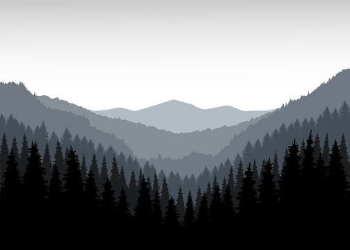 Panorama of mountains. Valley. Grey tones.