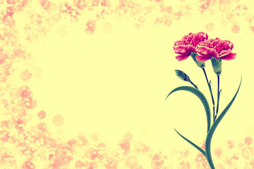  branch of beautiful flowers carnation