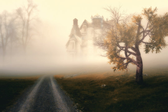 Abandoned Horror House in the Misty Forest