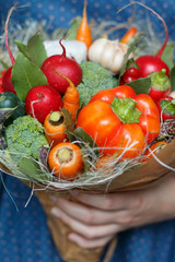 Big unusual bouquet of fresh edible vegetables (garlic, carrots, green beans, cucumber, radish, bay leaf, pepper, chili pepper, cauliflower, cotton) in the hand of young woman in a blue dress