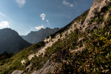 Hiking in the morning hours in the mountains of Austria