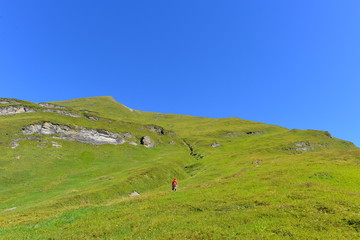 Fototapeta na wymiar Weitental im Tuxertal Tirol