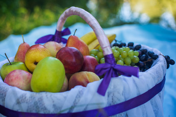 fruit basket on nature