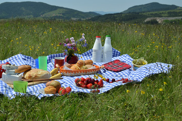 Picnic with fresh fruit, croissants, cheese and plastic bottles of milk and yogurt on meadow with hills in background