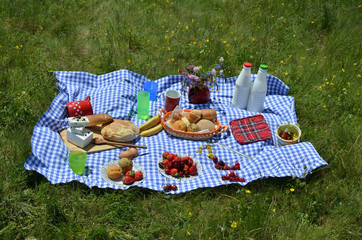 Close up of picnic breakfast with a delicious spread of fresh fruit, croissants, cheese on a blue and white tablecloth on meadow