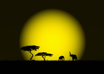 Elefantes, Sol, África, fondo, luz, luminoso