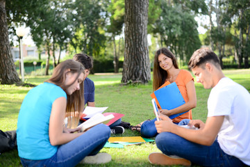 group of young students sitting together on green lawn high school university campus