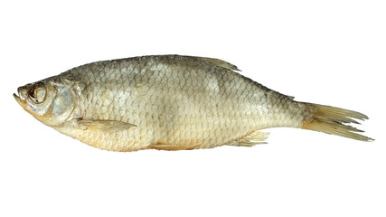 Stockfish isolated on white. dried fish roach

