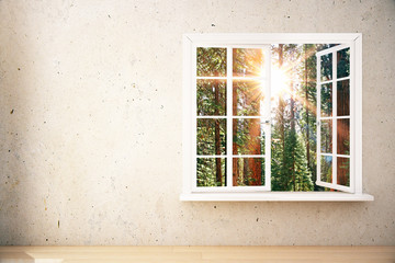 Window with sunlit forest view