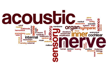 Acoustic nerve word cloud