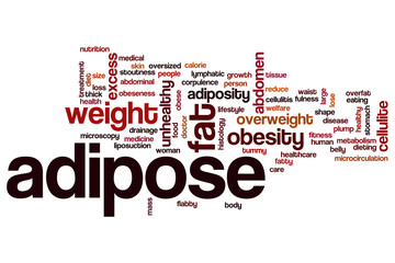 Adipose word cloud
