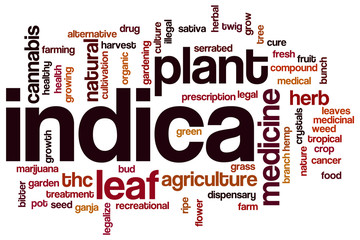 Indica word cloud