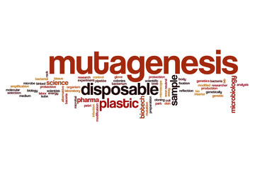 Fototapeta premium Mutagenesis word cloud