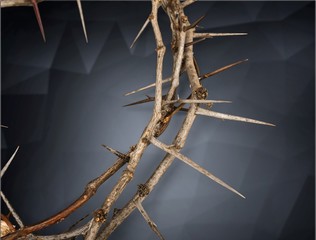 Crown of thorns.