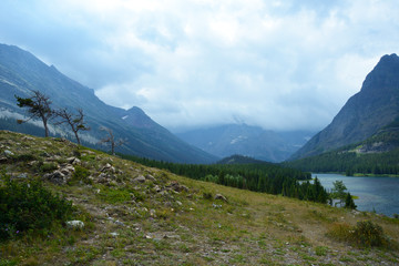 Lake, mountains, and windswept trees in Glacier.
