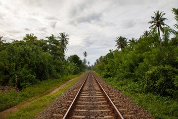Fototapeta premium Sri Lanka Railroad