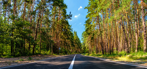 Open Road in future, no cars, auto on asphalt road through green forest, trees, pines, spruces.