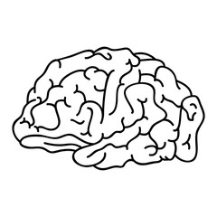 human brain organ mind head intelligence idea vector illustration