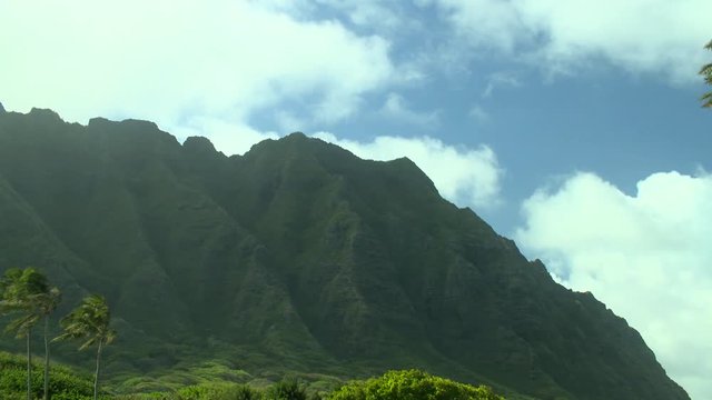 Koolau Mountains Kualoa Ridge with Coconut Trees and Clouds