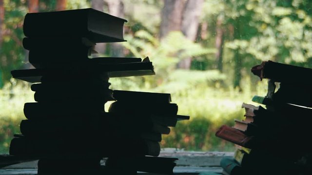 Stacks of Books Lying on a Window Sill on the Background Green Forest Outside