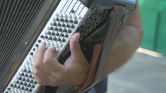man plays accordion video