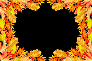 Colorful autumn foliage isolated on black background. Indian sum
