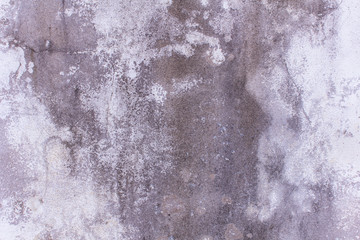 old cement wall texture and background