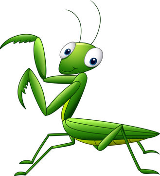 Cute cartoon mantis