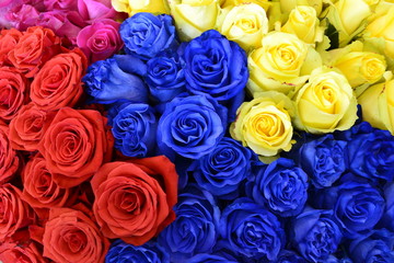 Разноцветные розы на Международной выставке цветов в Москве