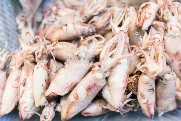Dry squid for food in Thailand.