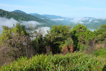 Chong Yen, Mae Wong National Park, Thailand, the beautiful fores