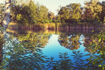 Summer lake