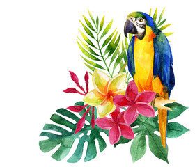 Watercolor parrot with exotic flowers and leaves