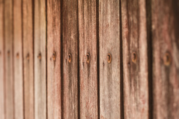 old wood panel wall vertical pattern with rusty nail.