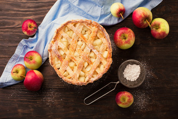 Homemade pie with apples, spices and cinnamon on dark rustic wooden background, top view