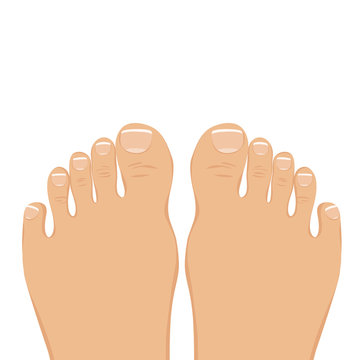Vector illustration of a woman barefoot. Top view.